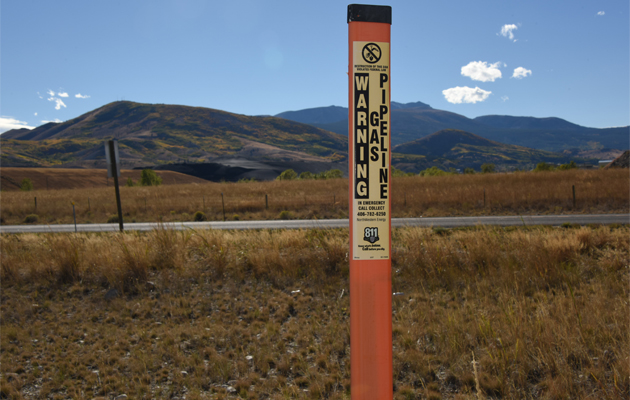 Pipeline marker in field